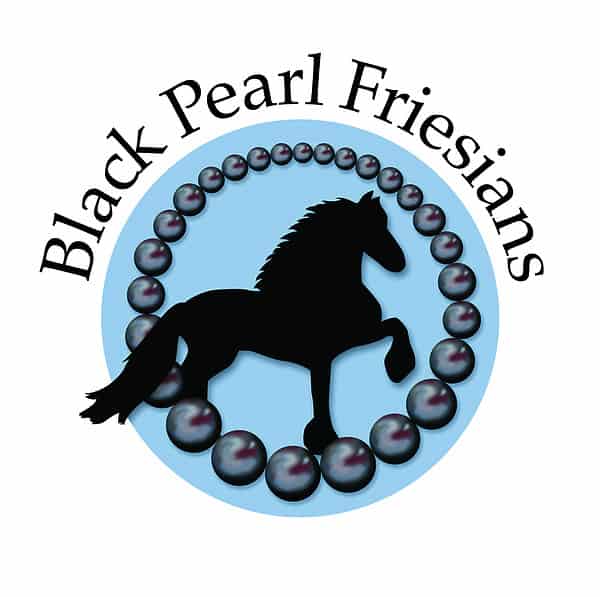 Black Pearl Friesians