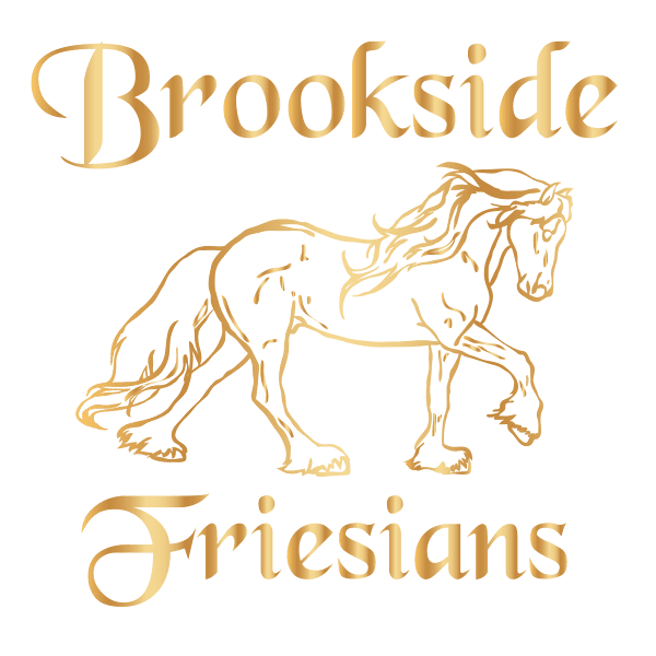 Brookside Friesians Logo BlackChancery 02 11