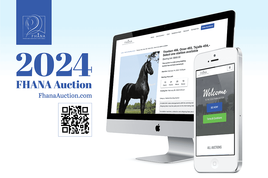 2024 Friesian Horse Auction